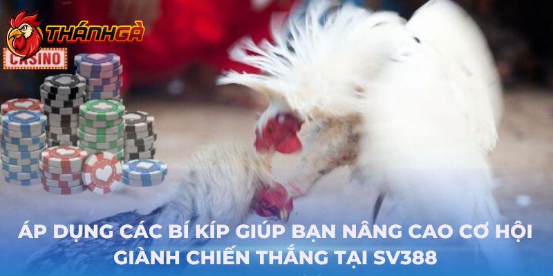 Áp dụng các bí kíp giúp bạn nâng cao cơ hội giành chiến thắng tại SV388