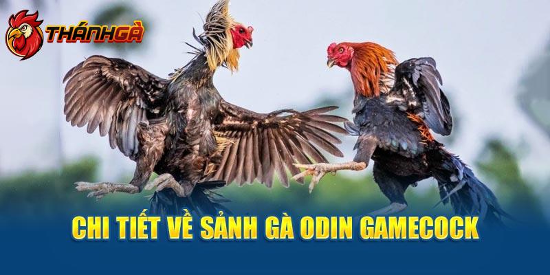 Chi tiết về sảnh gà Odin Gamecock