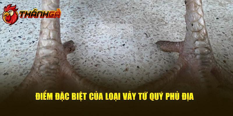 Điểm đặc biệt của loại vảy tứ quý phủ địa