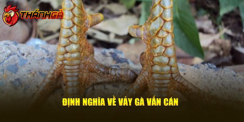 Định nghĩa về vảy gà vấn cán