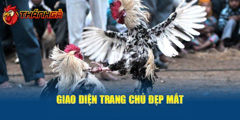 Giao diện trang chủ đẹp mắt