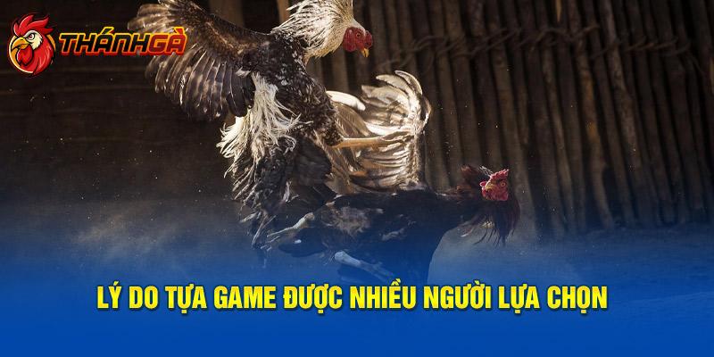 Nhiều người yêu thích loại hình đá gà nhờ vào ưu điểm nổi bật