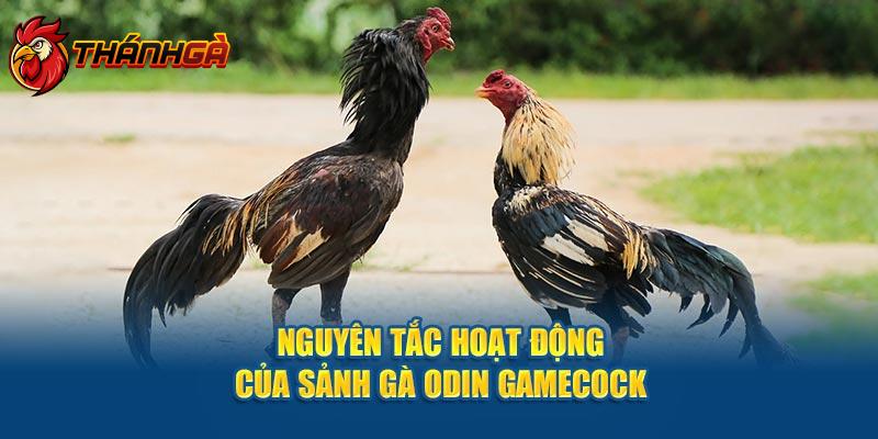 Nguyên tắc hoạt động của sảnh gà Odin Gamecock