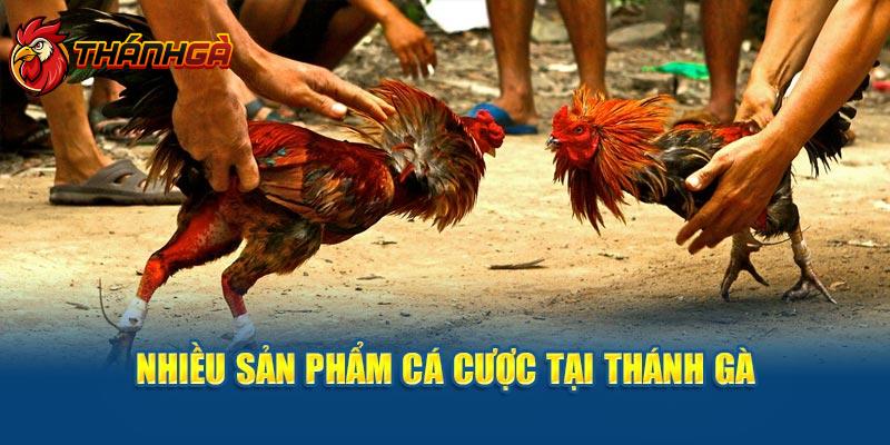 Nhiều sản phẩm cá cược tại Thánh Gà