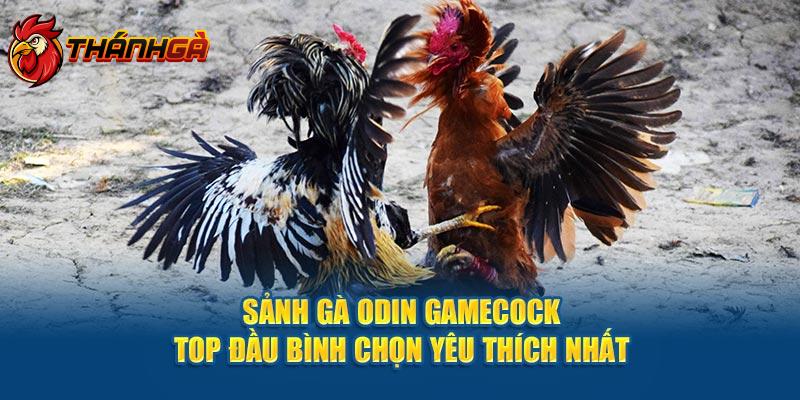 Sảnh Gà Odin Gamecock Top Đầu Bình Chọn Yêu Thích Nhất