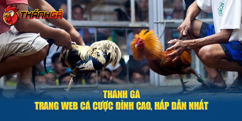 Đá gà Campuchia trở thành tâm điểm chú ý của nhiều hội viên khi tham gia