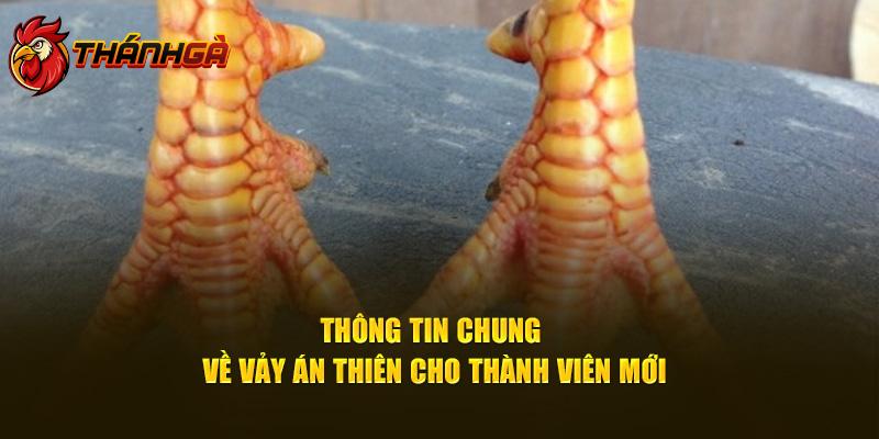 Thông tin chung về vảy án thiên cho thành viên mới